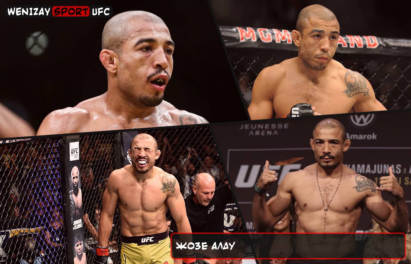 ​​Жозе Алду, ​​Жозе Алду ufc